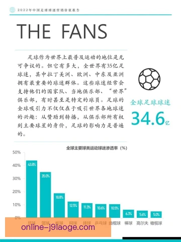 球衣广告位球迷接受度，价格与美感共同影响购买